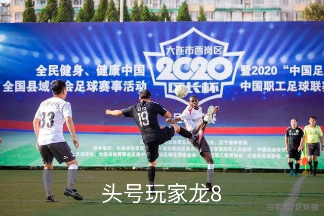头号玩家龙8公司简介展示图